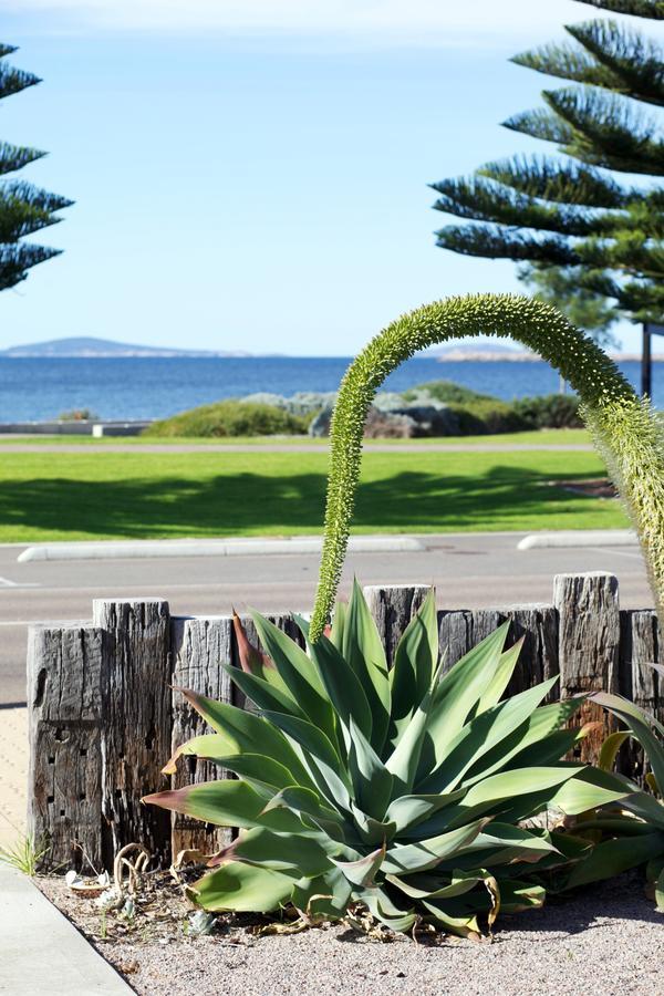 Esperance Island View Apartments Eksteriør bilde